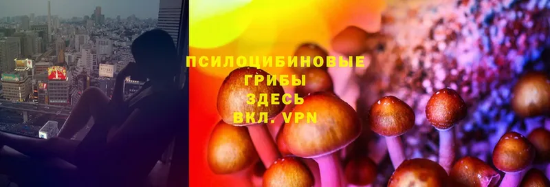 Галлюциногенные грибы MAGIC MUSHROOMS  Владивосток 